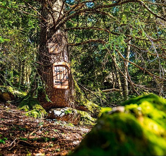 Bosque de los Menairons