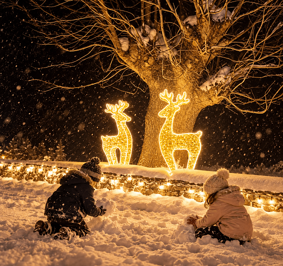 La màgia de Nadal arriba a la Ruta del Ferro!
