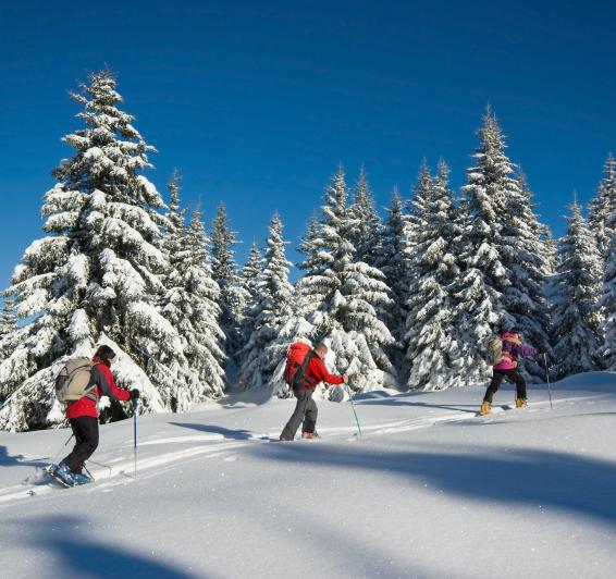 Raquettes à neige