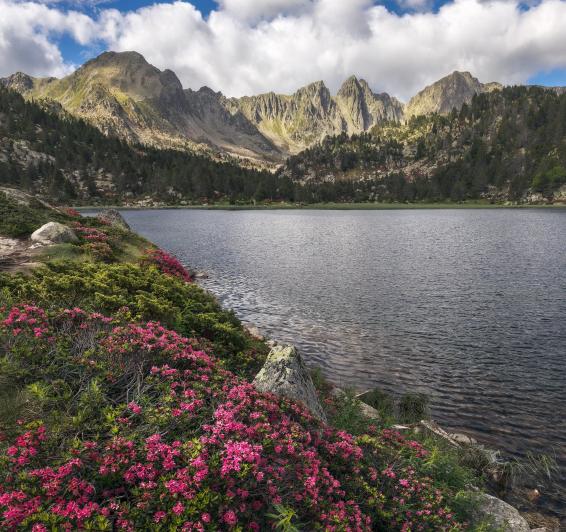 Feel Andorra, visita l'Andorra més autèntica