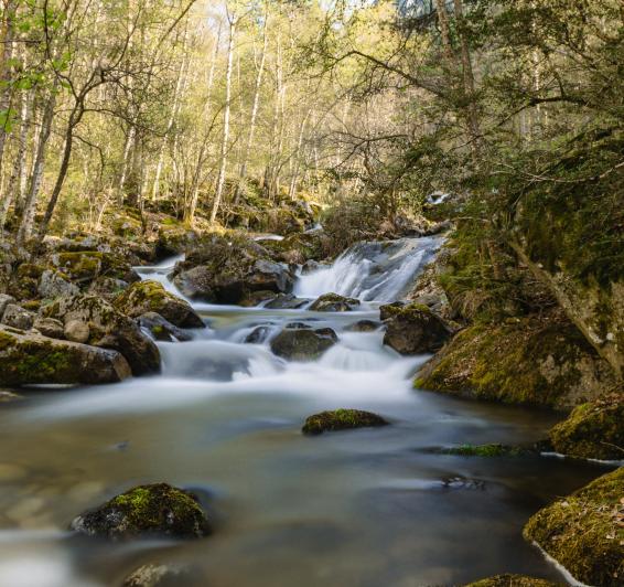 Parques Naturales