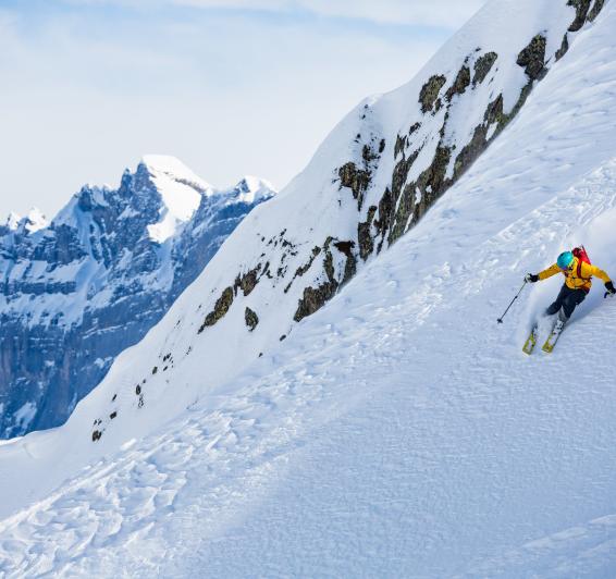 Freeride
