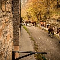 Image gallery at Apartaments La Neu-Mountain Lodges & Restaurant