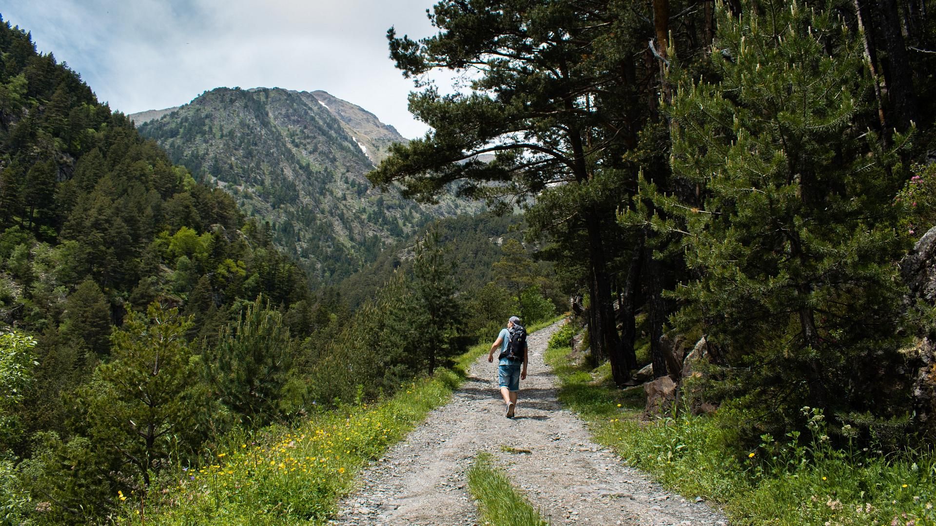 Des paysages qui invitent à se perdre