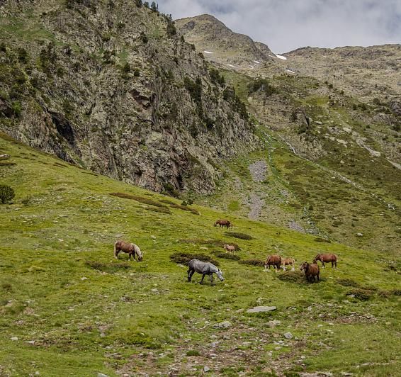 Parque Natural de los Valles del Comapedrosa