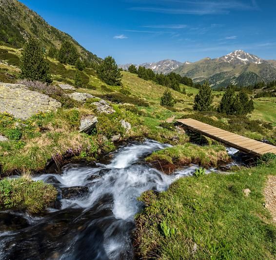 La nature protégée dans son état le plus pur