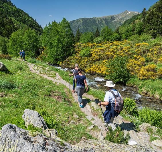 Des chemins chargés d'histoire et de paysages à découvrir